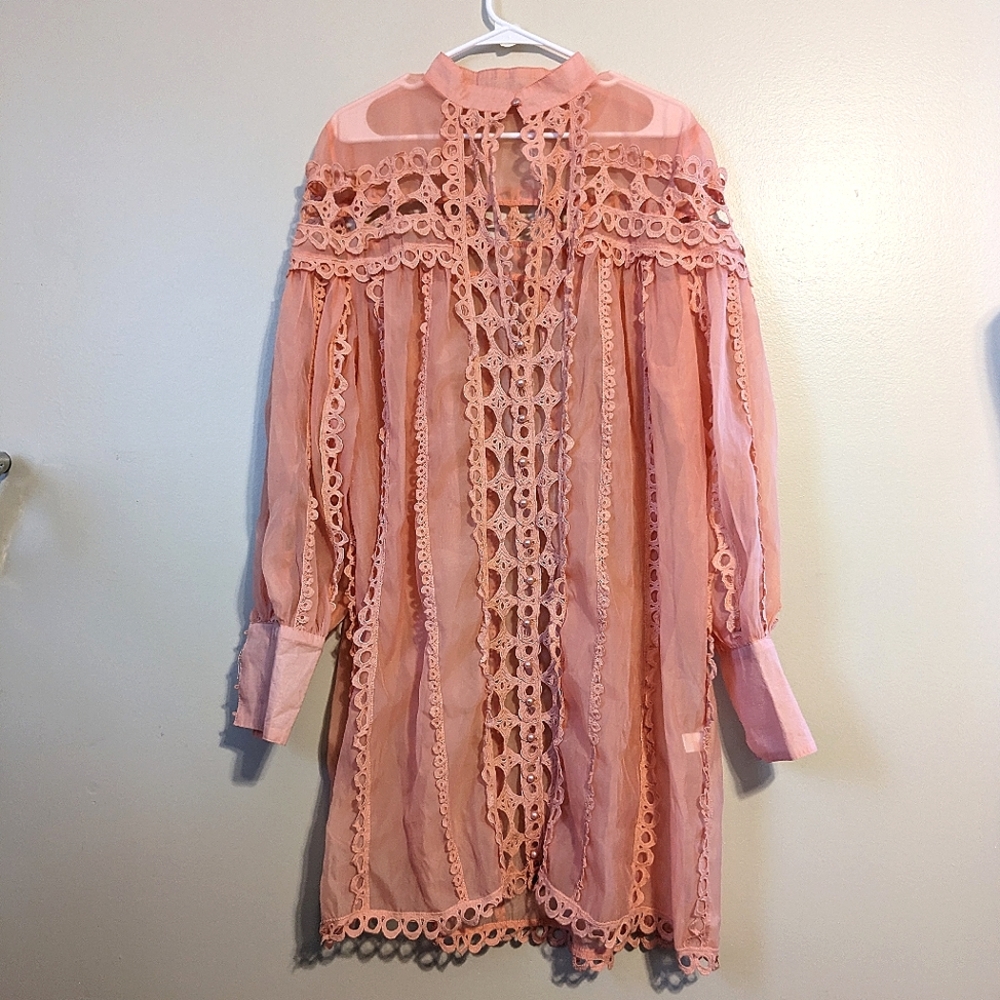 3XL Pretty Pink Pearl and Lace Embellished Sheer See Through Dress